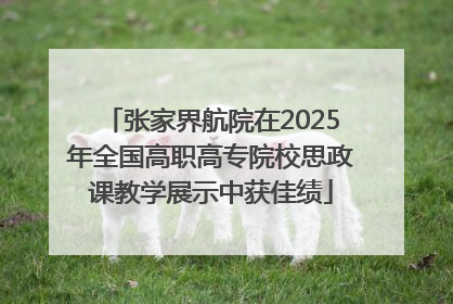 张家界航院在2025年全国高职高专院校思政课教学展示中获佳绩