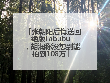 张朝阳后悔送回绝版Labubu，胡润称没想到能拍到108万