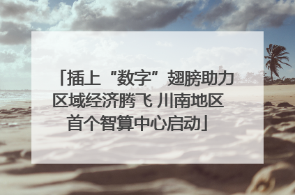 插上“数字”翅膀助力区域经济腾飞 川南地区首个智算中心启动