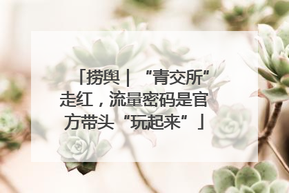 捞舆｜“青交所”走红，流量密码是官方带头“玩起来”