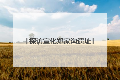 探访宣化郑家沟遗址