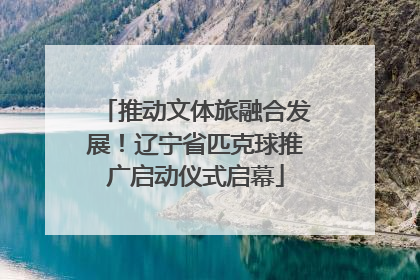 推动文体旅融合发展！辽宁省匹克球推广启动仪式启幕