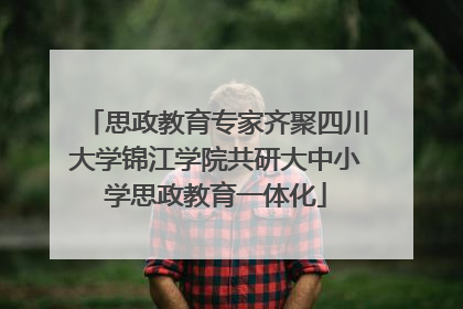 思政教育专家齐聚四川大学锦江学院共研大中小学思政教育一体化