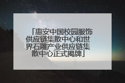 惠安中国校园服饰供应链集散中心和世界石雕产业供应链集散中心正式揭牌