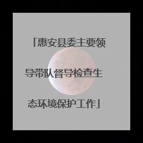 惠安县委主要领导带队督导检查生态环境保护工作