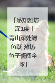 感知潍坊·深1度丨青山深处鲟鱼跃 潍坊鱼子酱闯全球