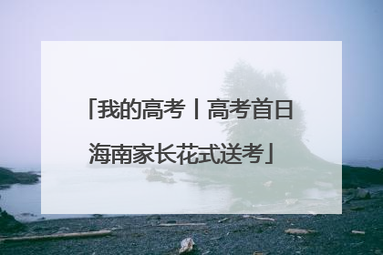 我的高考丨高考首日 海南家长花式送考