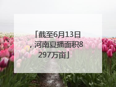 截至6月13日，河南夏播面积8297万亩