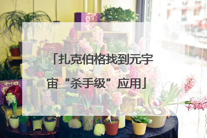 扎克伯格找到元宇宙“杀手级”应用