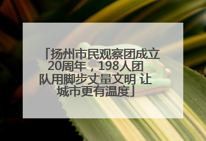 扬州市民观察团成立20周年，198人团队用脚步丈量文明 让城市更有温度