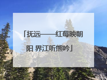 抚远——红莓映朝阳 界江听熊吟