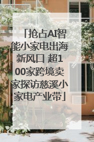 抢占AI智能小家电出海新风口 超100家跨境卖家探访慈溪小家电产业带