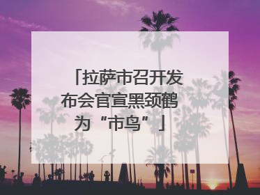 拉萨市召开发布会官宣黑颈鹤为“市鸟”
