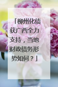 柳州化债获广西全力支持，当地财政债务形势如何？