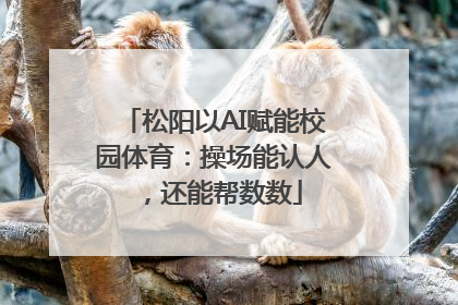 松阳以AI赋能校园体育：操场能认人，还能帮数数