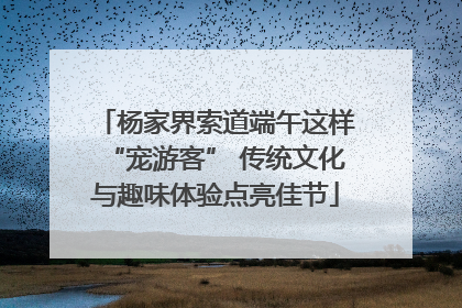 杨家界索道端午这样“宠游客” 传统文化与趣味体验点亮佳节