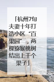 杭州7旬夫妻十年打造小区“百果园”，两棵猕猴桃树结出上千个果子