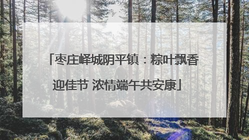 枣庄峄城阴平镇：粽叶飘香迎佳节 浓情端午共安康