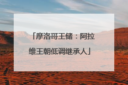 摩洛哥王储：阿拉维王朝低调继承人