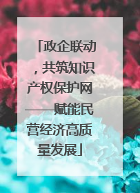 政企联动，共筑知识产权保护网——赋能民营经济高质量发展