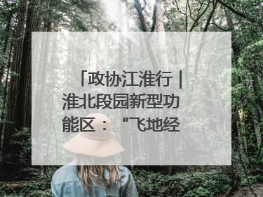 政协江淮行｜淮北段园新型功能区：“飞地经济”拔节生长