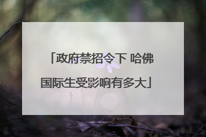 政府禁招令下 哈佛国际生受影响有多大