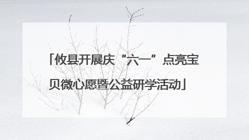 攸县开展庆“六一”点亮宝贝微心愿暨公益研学活动