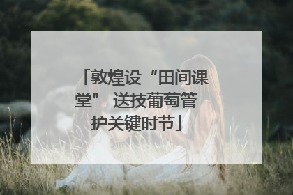 敦煌设“田间课堂” 送技葡萄管护关键时节