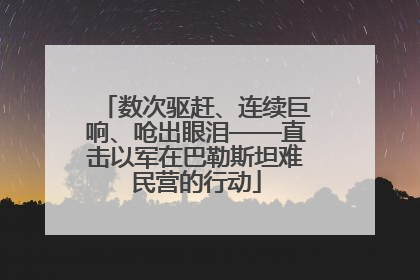 数次驱赶、连续巨响、呛出眼泪——直击以军在巴勒斯坦难民营的行动