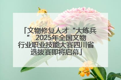 文物修复人才“大练兵” 2025年全国文物行业职业技能大赛四川省选拔赛即将启幕