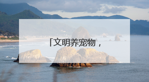 文明养宠物,蔚然树新风