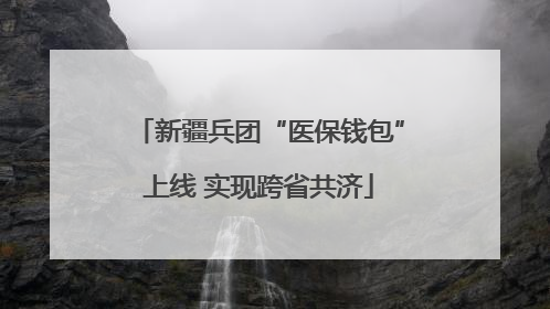 新疆兵团“医保钱包”上线 实现跨省共济