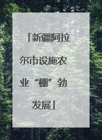 新疆阿拉尔市设施农业“棚”勃发展