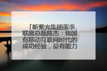 新紫光集团董事、联席总裁陈杰：我国有移动互联网时代的成功经验，最有能力做好AI应用创新