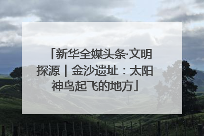 新华全媒头条·文明探源｜金沙遗址：太阳神鸟起飞的地方