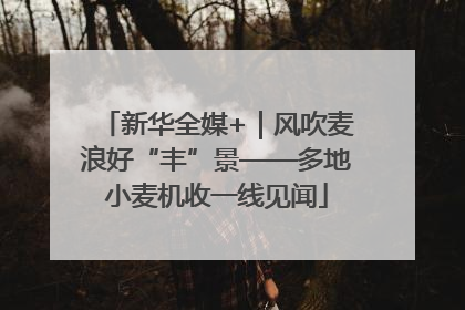 新华全媒+｜风吹麦浪好“丰”景——多地小麦机收一线见闻