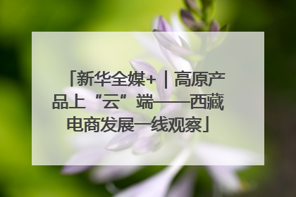 新华全媒+｜高原产品上“云”端——西藏电商发展一线观察