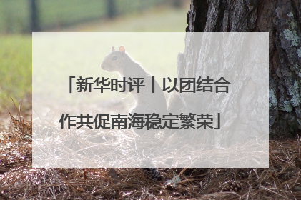 新华时评丨以团结合作共促南海稳定繁荣