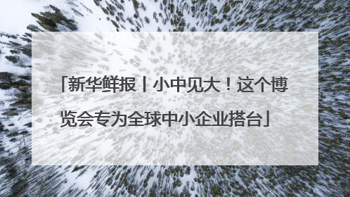 新华鲜报丨小中见大！这个博览会专为全球中小企业搭台