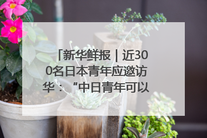 新华鲜报｜近300名日本青年应邀访华：“中日青年可以创造更好的未来”