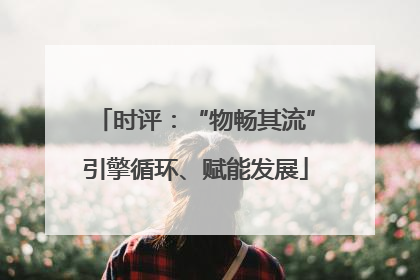 时评：“物畅其流”引擎循环、赋能发展