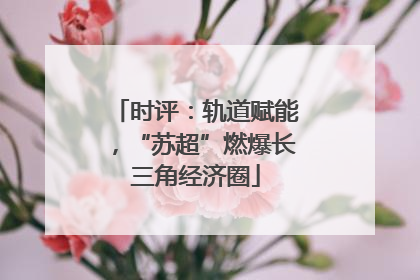 时评：轨道赋能，“苏超”燃爆长三角经济圈