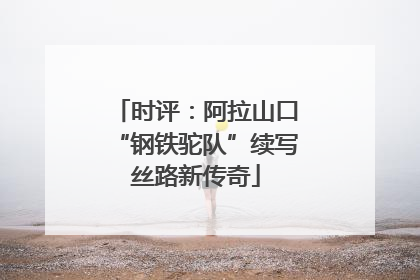 时评：阿拉山口“钢铁驼队”续写丝路新传奇