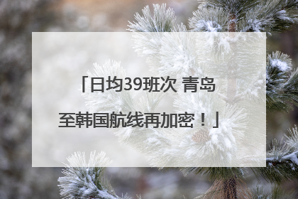 日均39班次 青岛至韩国航线再加密！