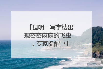 昆明一写字楼出现密密麻麻的飞虫，专家提醒→