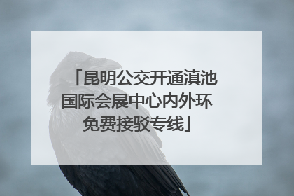 昆明公交开通滇池国际会展中心内外环免费接驳专线