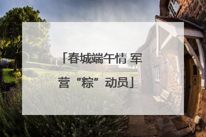 春城端午情 军营“粽”动员