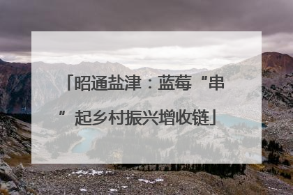 昭通盐津：蓝莓“串”起乡村振兴增收链