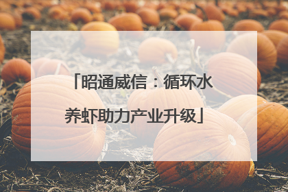 昭通威信：循环水养虾助力产业升级