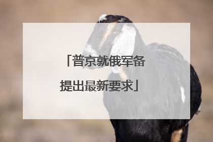 普京就俄军备提出最新要求